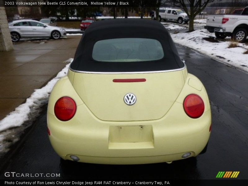 Mellow Yellow / Black 2003 Volkswagen New Beetle GLS Convertible