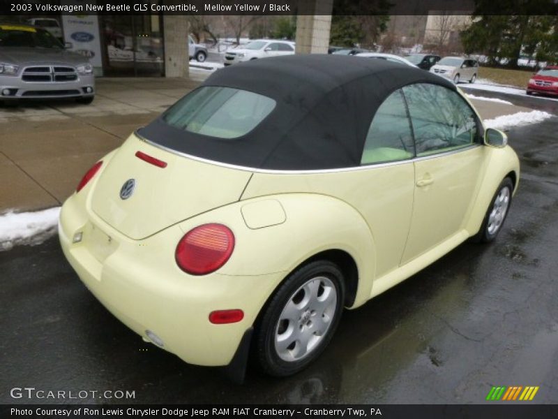 Mellow Yellow / Black 2003 Volkswagen New Beetle GLS Convertible