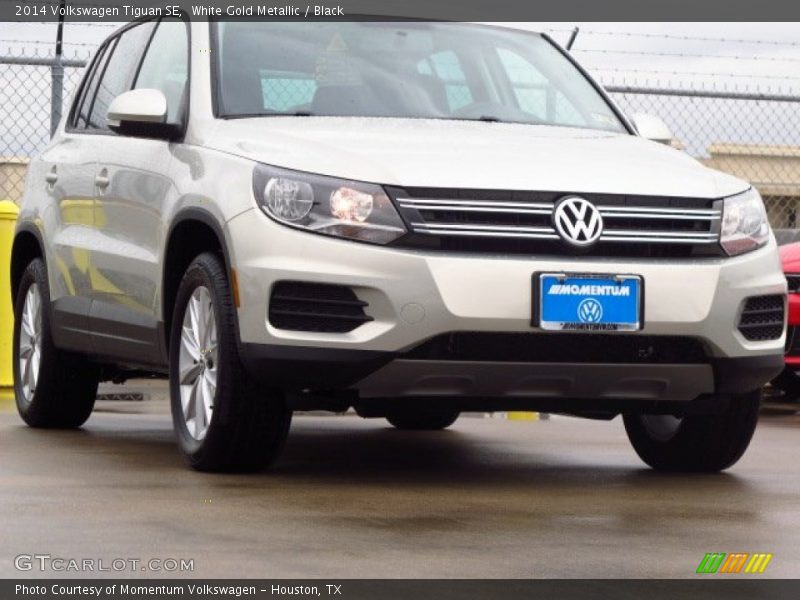 White Gold Metallic / Black 2014 Volkswagen Tiguan SE