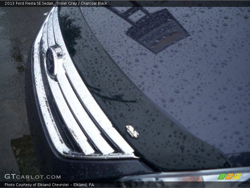 Violet Gray / Charcoal Black 2013 Ford Fiesta SE Sedan