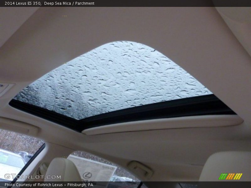 Deep Sea Mica / Parchment 2014 Lexus ES 350