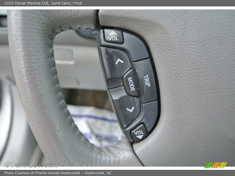 Sunlit Sand / Frost 2003 Nissan Maxima GLE