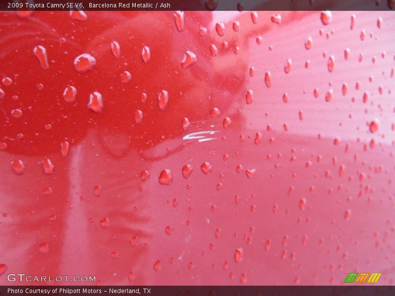 Barcelona Red Metallic / Ash 2009 Toyota Camry SE V6