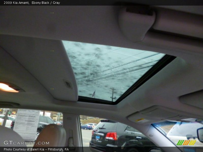 Ebony Black / Gray 2009 Kia Amanti