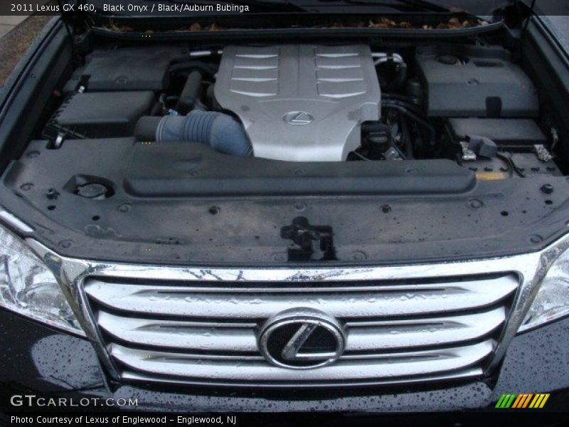Black Onyx / Black/Auburn Bubinga 2011 Lexus GX 460