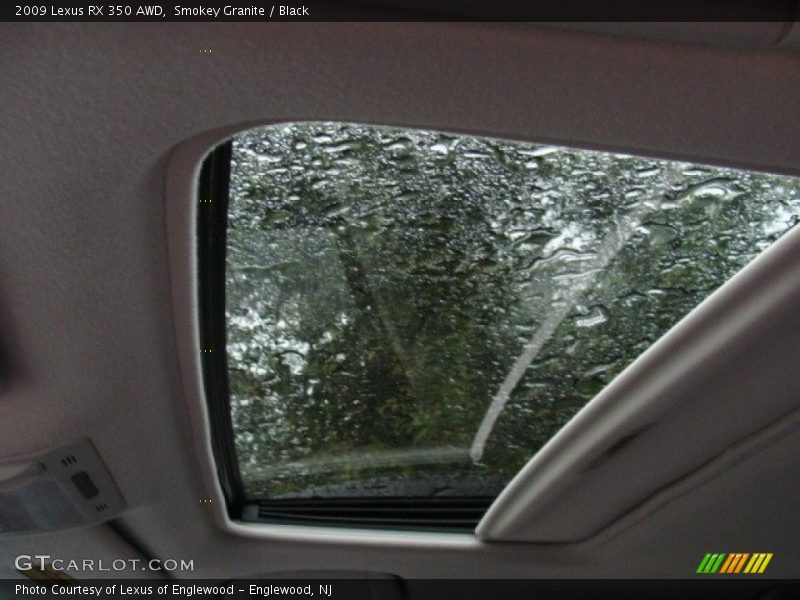 Smokey Granite / Black 2009 Lexus RX 350 AWD