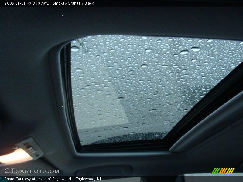 Smokey Granite / Black 2009 Lexus RX 350 AWD