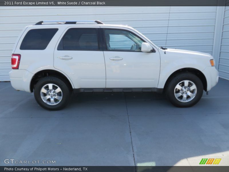 White Suede / Charcoal Black 2011 Ford Escape Limited V6