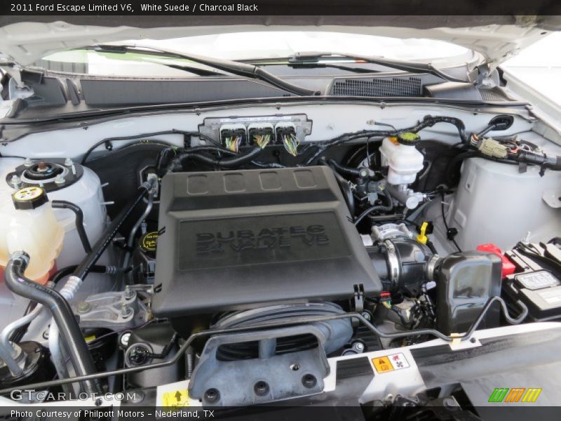 White Suede / Charcoal Black 2011 Ford Escape Limited V6