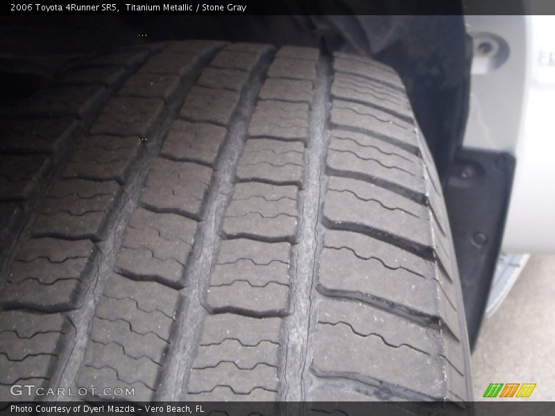 Titanium Metallic / Stone Gray 2006 Toyota 4Runner SR5