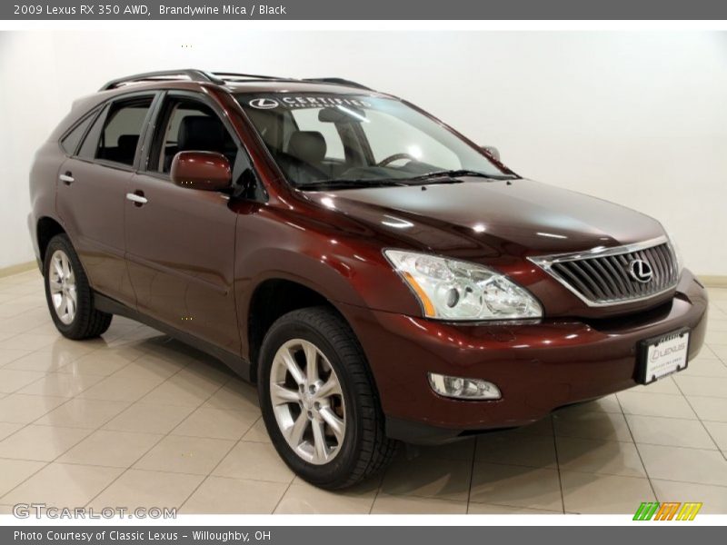 Brandywine Mica / Black 2009 Lexus RX 350 AWD
