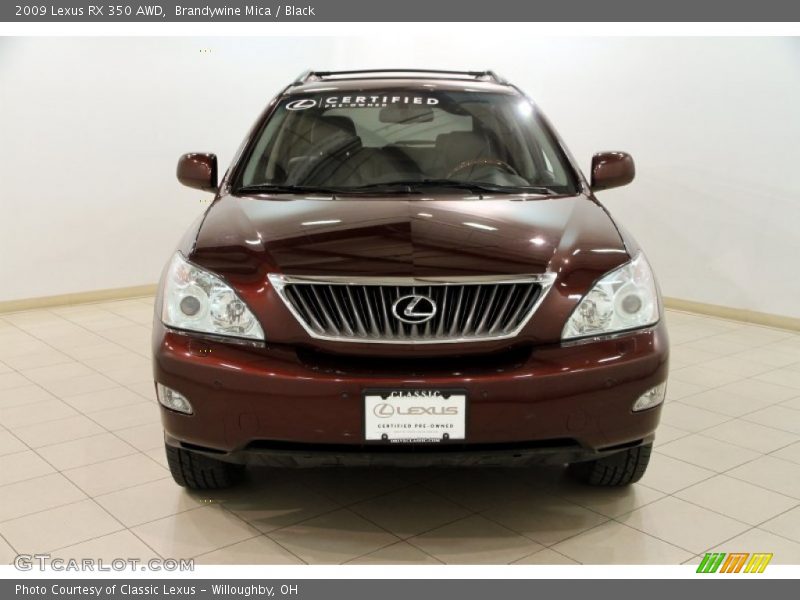 Brandywine Mica / Black 2009 Lexus RX 350 AWD