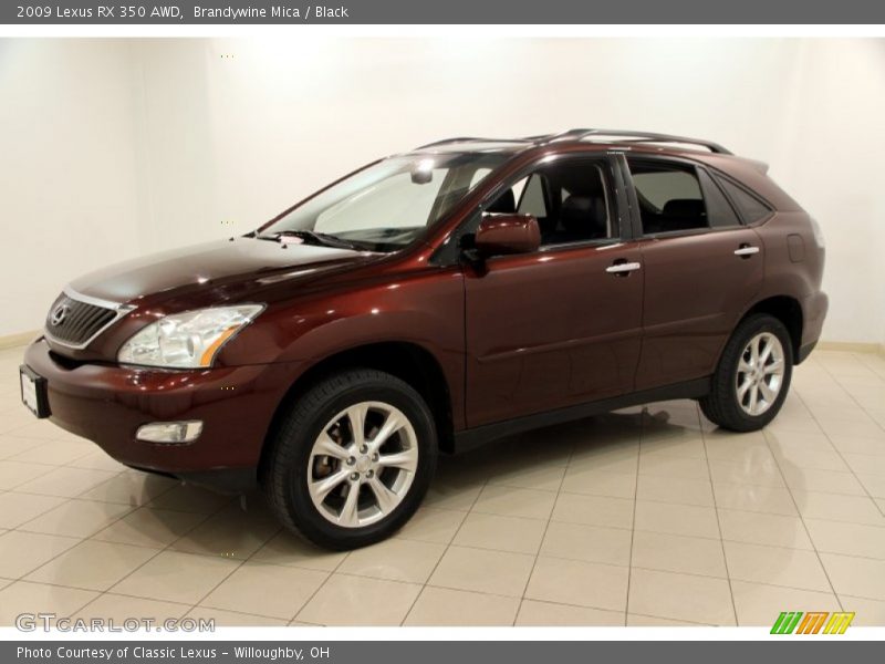 Brandywine Mica / Black 2009 Lexus RX 350 AWD