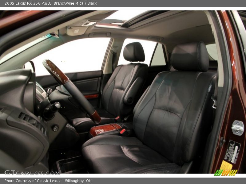 Brandywine Mica / Black 2009 Lexus RX 350 AWD