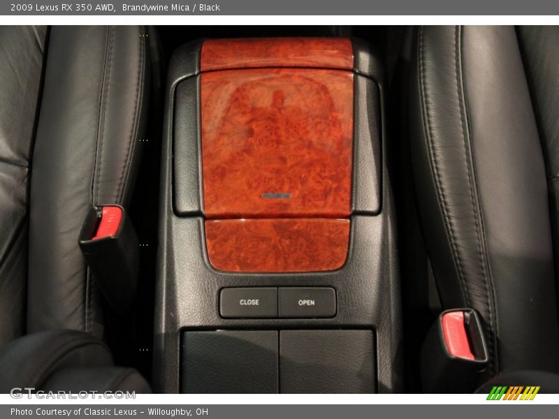 Brandywine Mica / Black 2009 Lexus RX 350 AWD