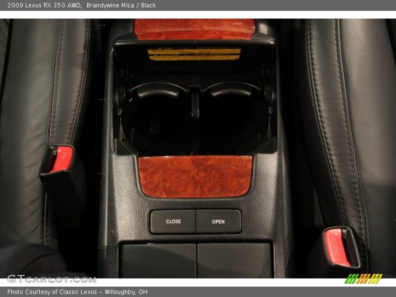 Brandywine Mica / Black 2009 Lexus RX 350 AWD