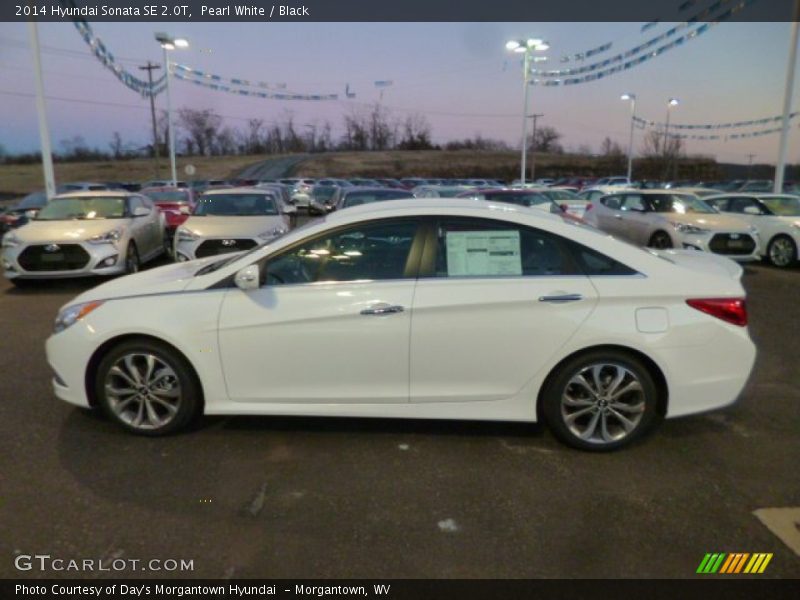 Pearl White / Black 2014 Hyundai Sonata SE 2.0T