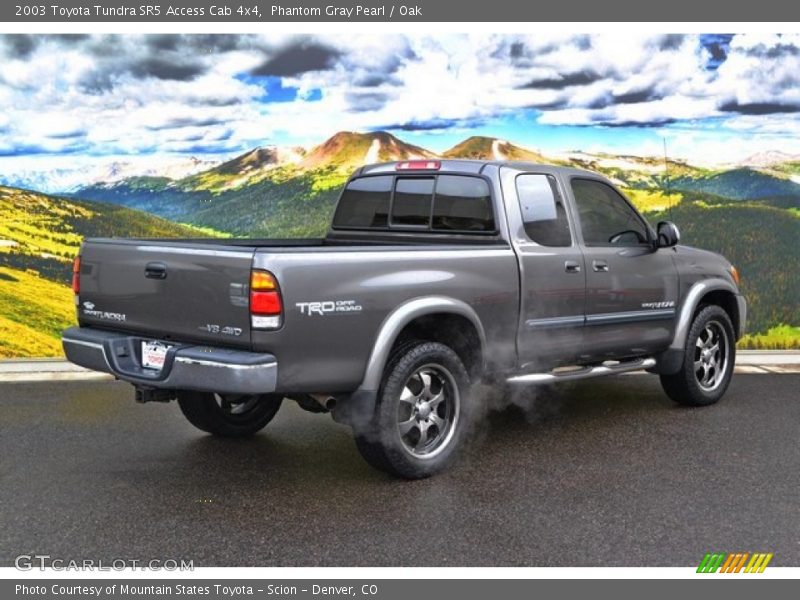 Phantom Gray Pearl / Oak 2003 Toyota Tundra SR5 Access Cab 4x4