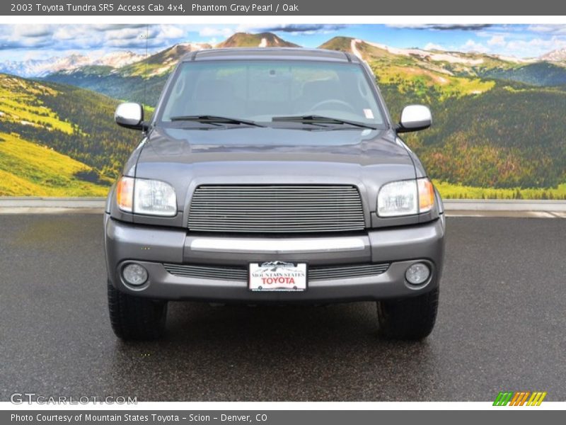 Phantom Gray Pearl / Oak 2003 Toyota Tundra SR5 Access Cab 4x4