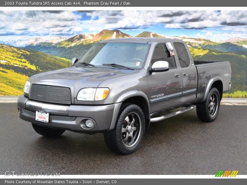 Phantom Gray Pearl / Oak 2003 Toyota Tundra SR5 Access Cab 4x4