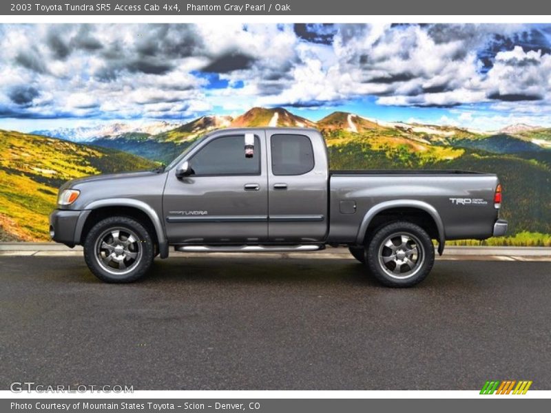 Phantom Gray Pearl / Oak 2003 Toyota Tundra SR5 Access Cab 4x4