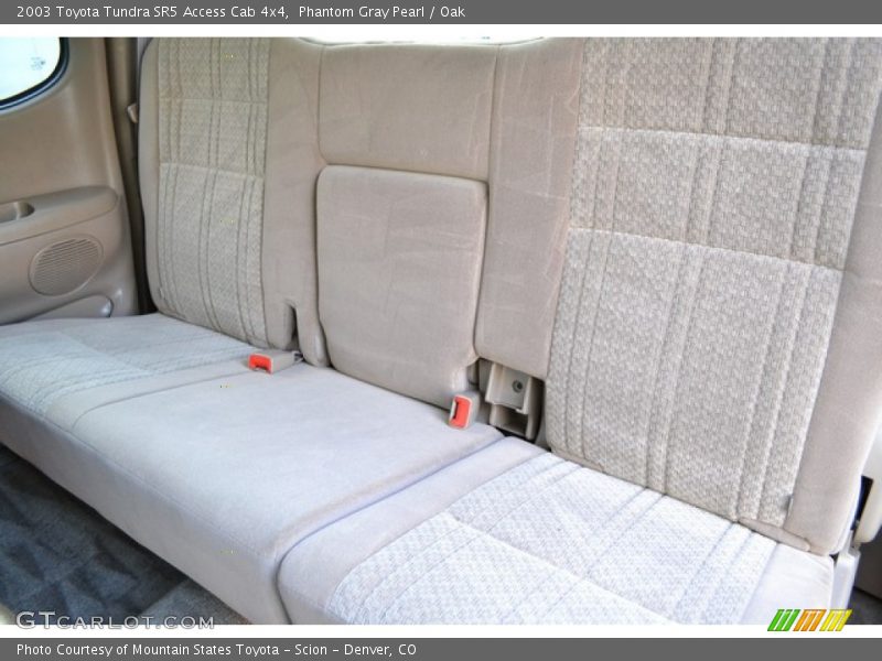 Phantom Gray Pearl / Oak 2003 Toyota Tundra SR5 Access Cab 4x4