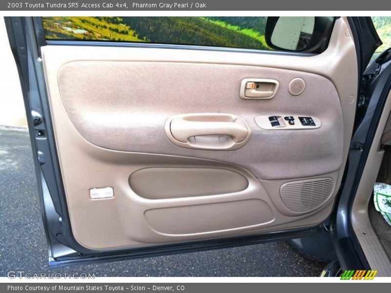 Phantom Gray Pearl / Oak 2003 Toyota Tundra SR5 Access Cab 4x4