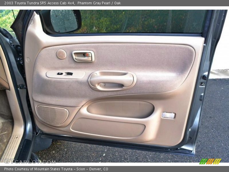 Phantom Gray Pearl / Oak 2003 Toyota Tundra SR5 Access Cab 4x4