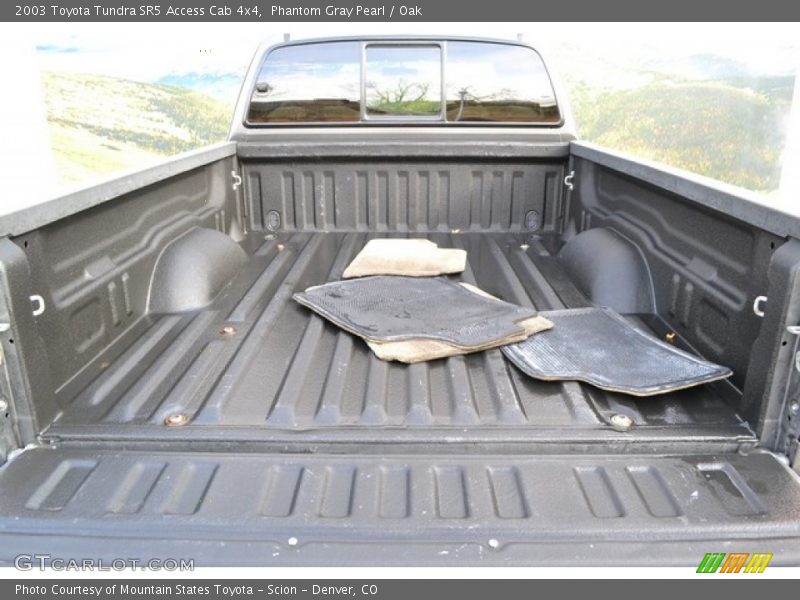 Phantom Gray Pearl / Oak 2003 Toyota Tundra SR5 Access Cab 4x4