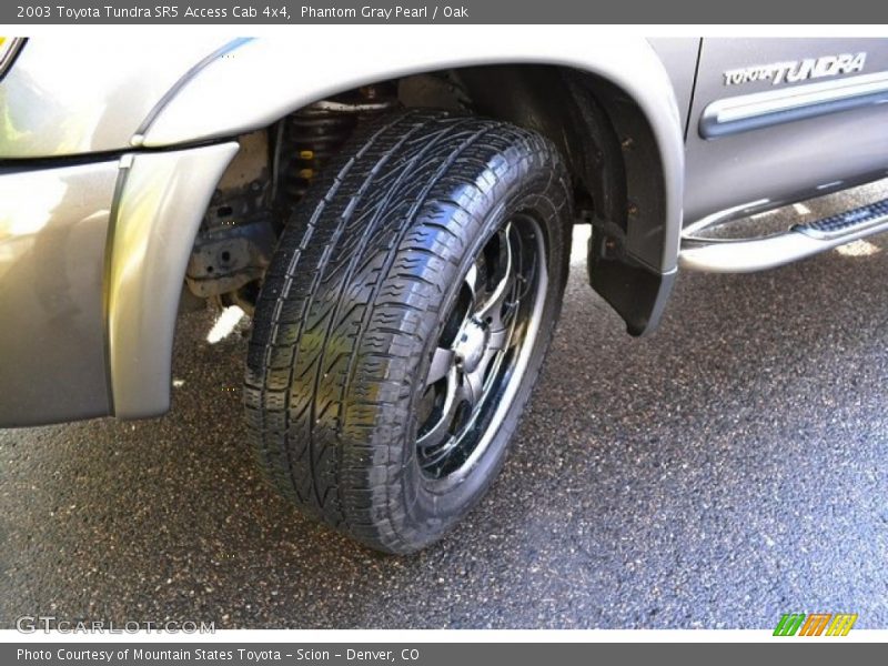 Phantom Gray Pearl / Oak 2003 Toyota Tundra SR5 Access Cab 4x4