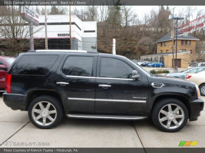 Black Ice / Ebony 2010 Cadillac Escalade Luxury AWD