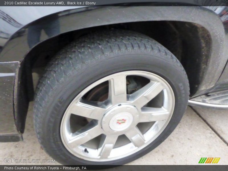 Black Ice / Ebony 2010 Cadillac Escalade Luxury AWD