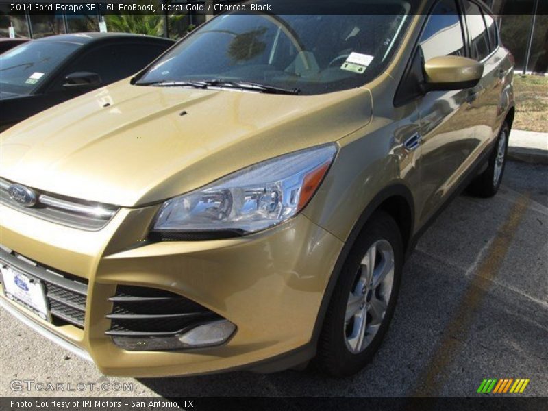Karat Gold / Charcoal Black 2014 Ford Escape SE 1.6L EcoBoost