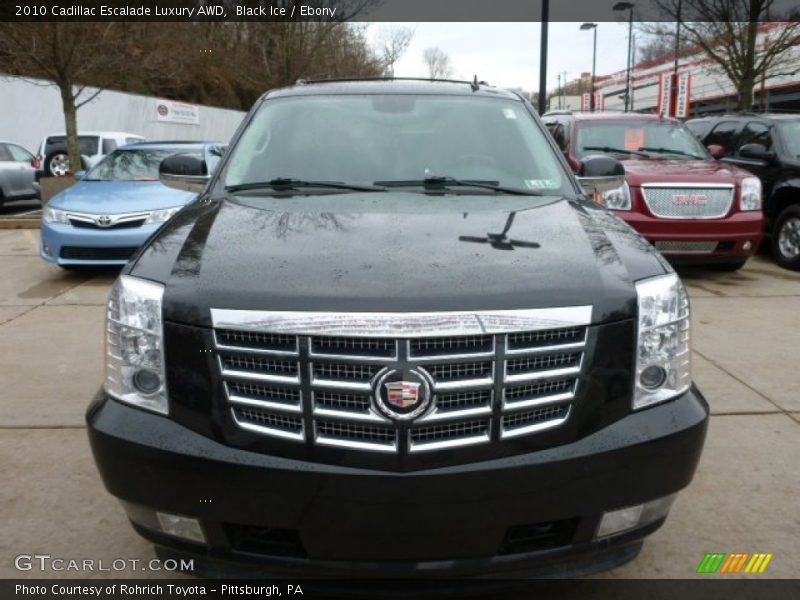 Black Ice / Ebony 2010 Cadillac Escalade Luxury AWD