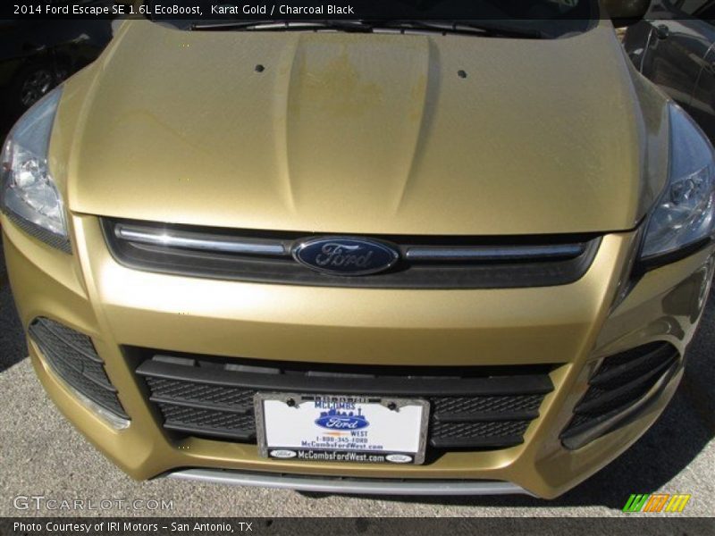 Karat Gold / Charcoal Black 2014 Ford Escape SE 1.6L EcoBoost