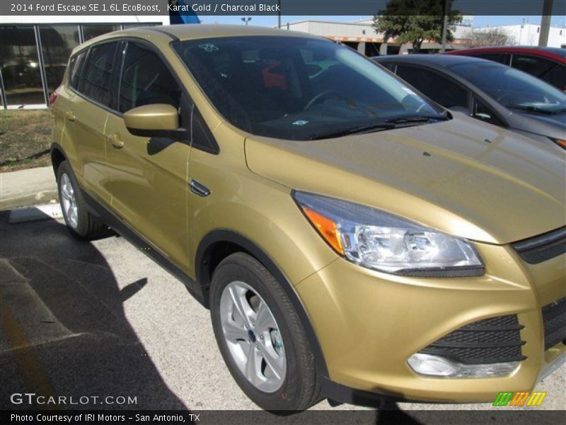 Karat Gold / Charcoal Black 2014 Ford Escape SE 1.6L EcoBoost