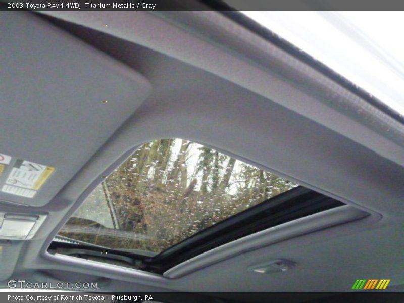 Titanium Metallic / Gray 2003 Toyota RAV4 4WD