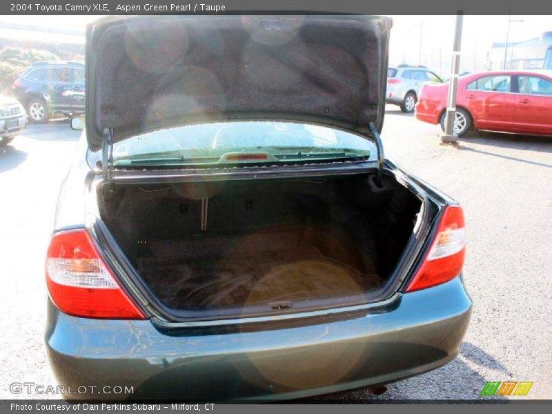 Aspen Green Pearl / Taupe 2004 Toyota Camry XLE