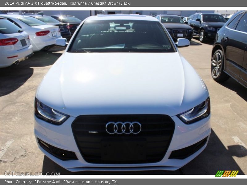 Ibis White / Chestnut Brown/Black 2014 Audi A4 2.0T quattro Sedan