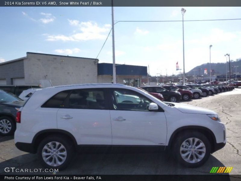 Snow White Pearl / Black 2014 Kia Sorento EX V6 AWD