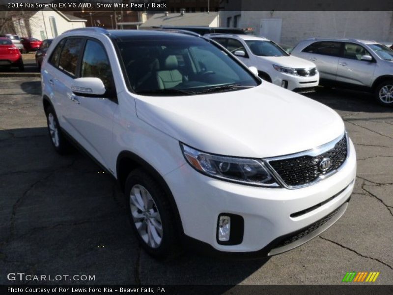 Snow White Pearl / Black 2014 Kia Sorento EX V6 AWD