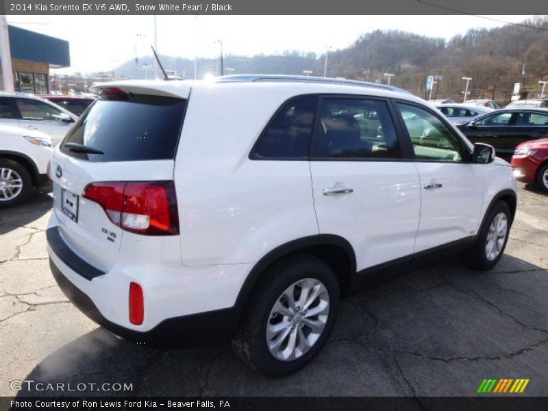 Snow White Pearl / Black 2014 Kia Sorento EX V6 AWD