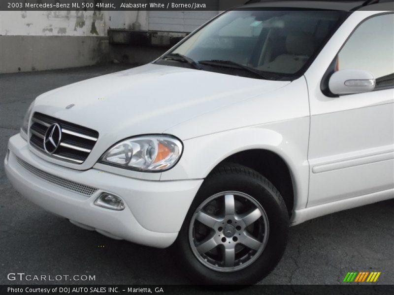 Alabaster White / Borneo/Java 2003 Mercedes-Benz ML 500 4Matic