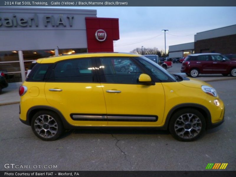 Giallo (Yellow) / Black/Marrone (Black/Brown) 2014 Fiat 500L Trekking