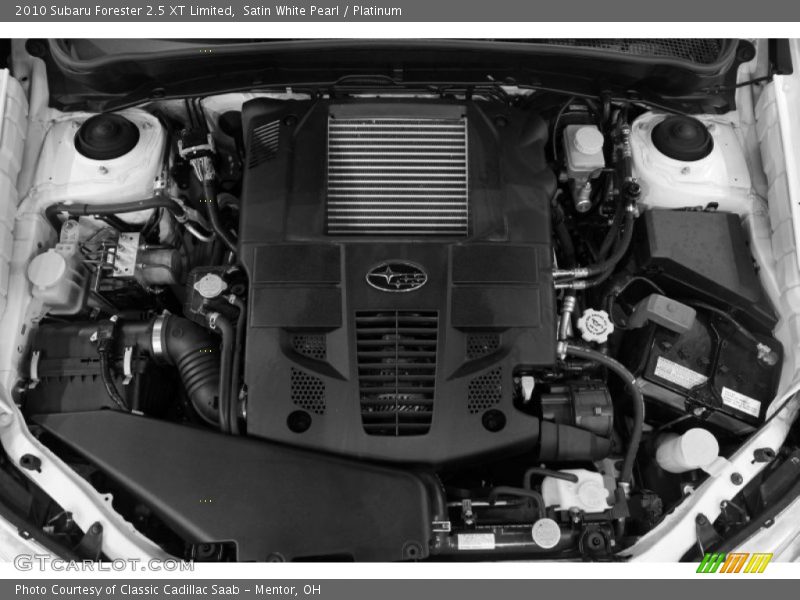 Satin White Pearl / Platinum 2010 Subaru Forester 2.5 XT Limited