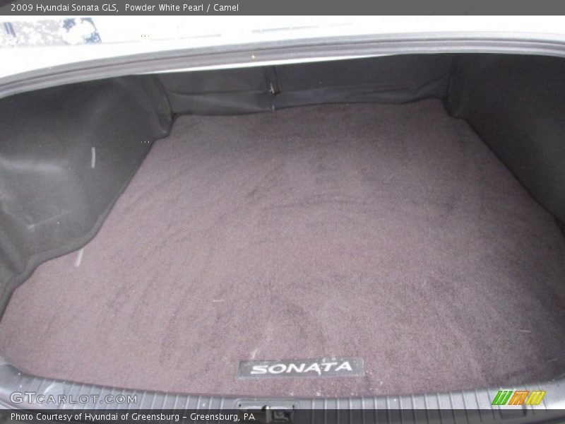 Powder White Pearl / Camel 2009 Hyundai Sonata GLS