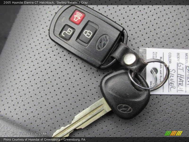 Sterling Metallic / Gray 2005 Hyundai Elantra GT Hatchback