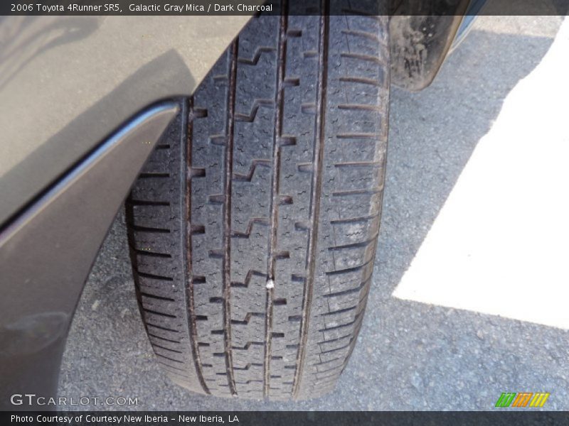 Galactic Gray Mica / Dark Charcoal 2006 Toyota 4Runner SR5