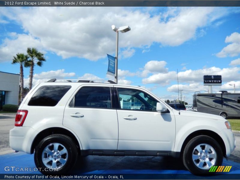 White Suede / Charcoal Black 2012 Ford Escape Limited