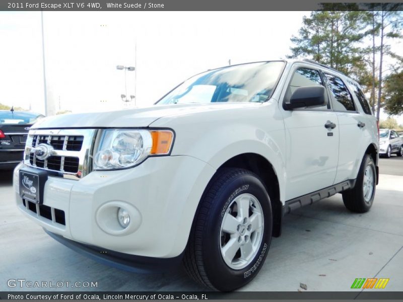 White Suede / Stone 2011 Ford Escape XLT V6 4WD